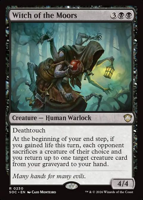 230-witchofthemoors