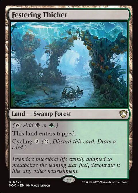 371-festeringthicket