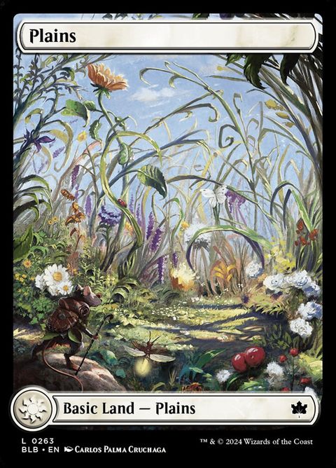263-plains