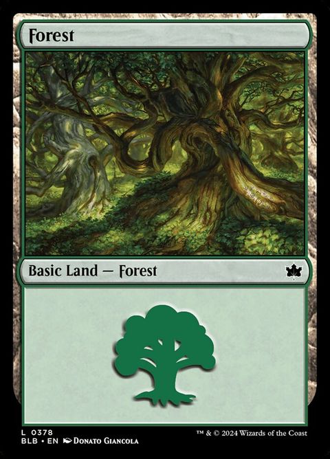 378-forest