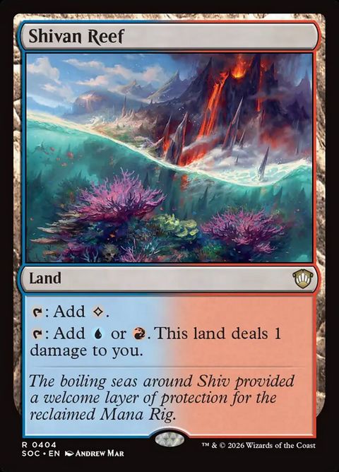 404-shivanreef