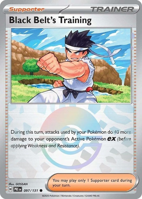 97-blackbeltstraining-pokeballpattern